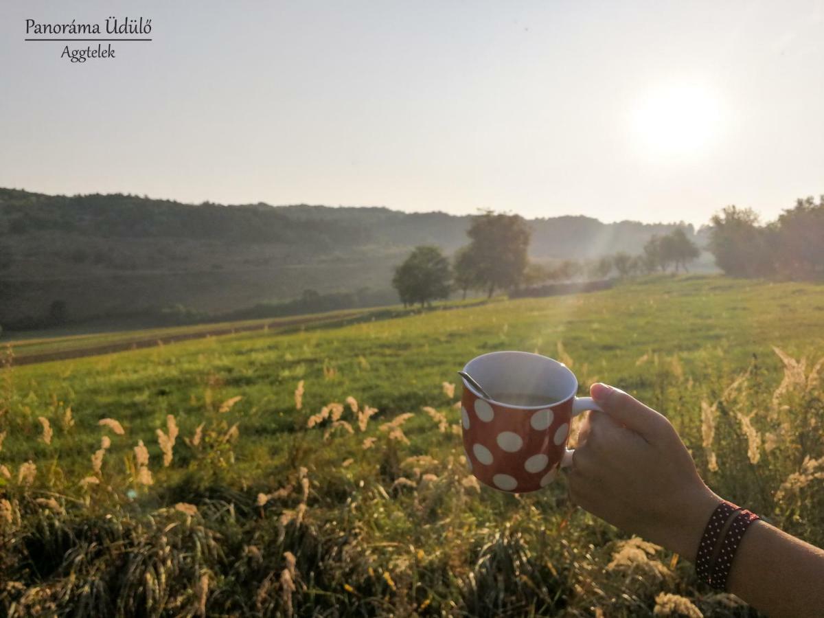 Hotel Panorama Ueduelo Aggtelek Zewnętrze zdjęcie